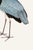 Gray Heron, Vintage Bird Art Print Reproduction, 20" X 30" For Sale - Image 10 of 10