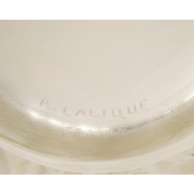 Pressed, opalescent molded glass vase. The Bacchantes vase is one of Lalique's iconic creations. It is one of the few...