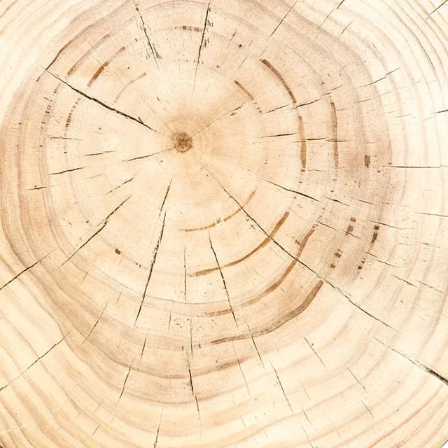 Four Hands Inez End Table, Natural Pine For Sale - Image 10 of 13