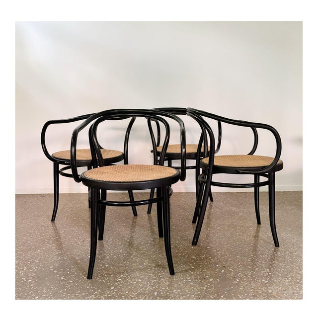 Model B9/209 Armchairs, 1970s, Set of 4 For Sale - Image 14 of 14