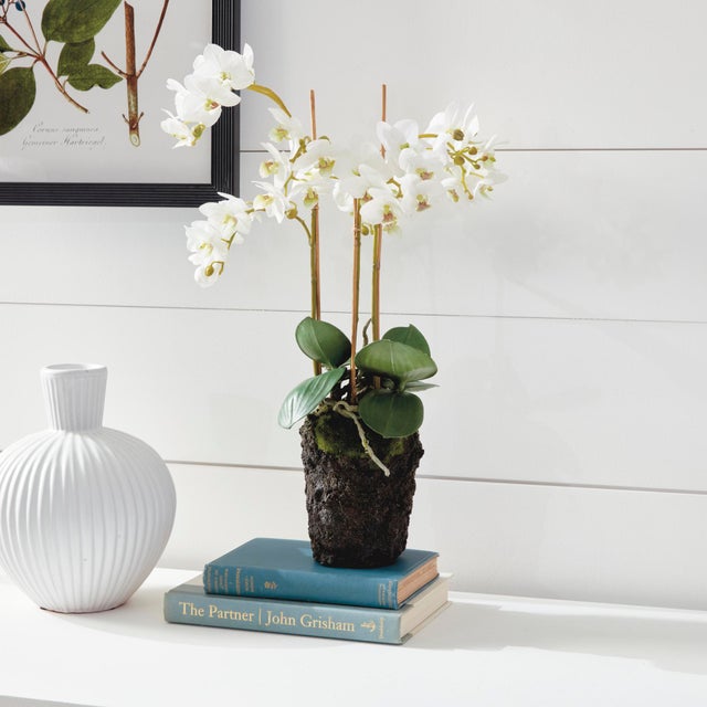 Textile Phalaenopsis Orchid Drop-In 20" For Sale - Image 7 of 7