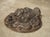 Pair of Heavy French Cast Iron Lion Building Ornaments, Circa 1900 For Sale - Image 16 of 18