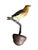 1930s Austrian Folk Art Carved Wood Wren #100 For Sale - Image 5 of 5