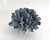 Blue Natural Blue Coral Specimen Coastal Decor For Sale - Image 8 of 8