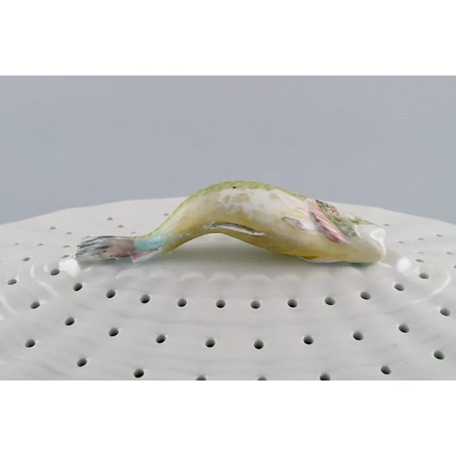 1950s Large Fauna Danica/ Flora Danica Porcelain Fish Strainer from Royal Copenhagen For Sale - Image 5 of 7