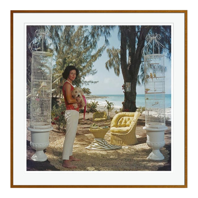 Gloria Schiff 1961 by Slim Aarons Framed C Print For Sale