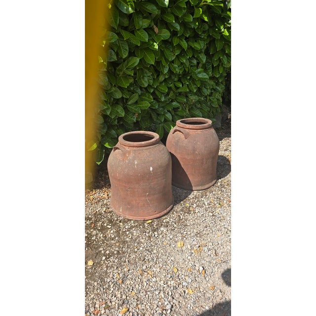 Large Victorian Rhubarb Forcers, 1880, Set of 2 For Sale - Image 4 of 5