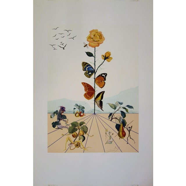 Salvador Dali, Flordali II, Lithograph For Sale - Image 7 of 7