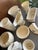 1940s Vintage Cream/White Pottery Ceramics 40s McCoy/Bauer/Usa/Catalina Lot (12) For Sale - Image 5 of 16