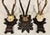 Collection of Antique Black Forest Roe Deer Trophy Antler Mounts - Set of 3 For Sale - Image 13 of 17