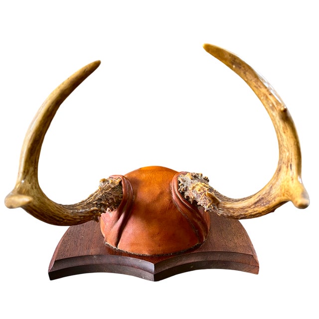 Ralph Lauren 2001 Karl E. Hallberg “Night Hawk” Deer Antler & Hand-Tooled Leather Trophy Wall Mount For Sale - Image 4 of 7
