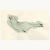 Ink and watercolor drawing depicting a seal. Signed by the artist on the front. Jean Hannon grew up in Boston and attended...