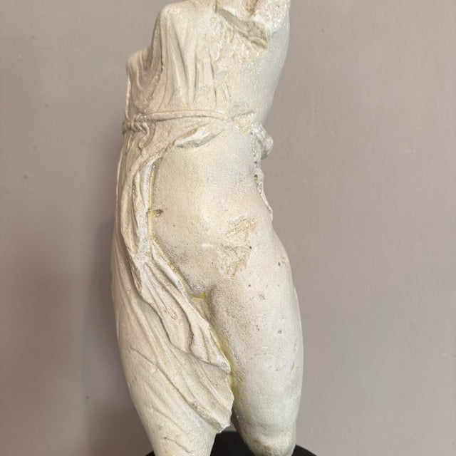 Museum Sculpture of Dancing Maenad after the Kunsthalle Kiel Original, 1930, Plaster For Sale - Image 4 of 14