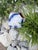 Rustic European Blue Brushstroke Italian Ceramic Vessel For Sale - Image 3 of 8