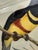 Mid 19th Century Original Mid-19th-Century John Gould “Pteroglossus Poecilosternus” Hand-Colored Toucan Lithograph For Sale - Image 5 of 9