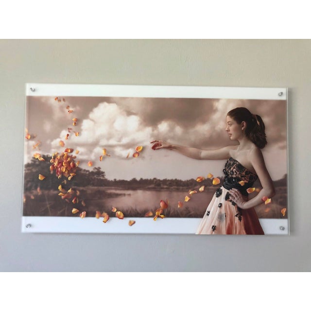 Plastic Magnetism by Beth Sistrunk | Oil on two translucent acrylic panels Woman in a flowing dress with petals. For Sale - Image 7 of 10