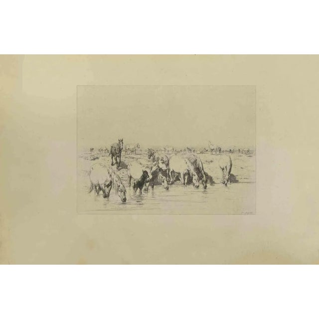 Eugène Burnand, Herd of Horses, Etching, Late 19th Century For Sale