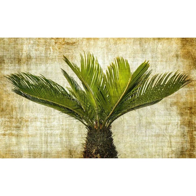 Sumit Mehndiratta, Spiked in Green, 2021, Archival Ink Print on Canvas For Sale - Image 4 of 4