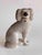 Ceramic Vintage Staffordshire Style Dogs For Sale - Image 7 of 11