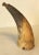 Early 19th Century Gun Powder Horn With Original Carved Pin For Sale - Image 4 of 12