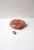Rose Quartz Jewelry Dish For Sale - Image 9 of 12