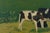 Sigfrid Bengtsson, Calves in the Landscape, 1960s, Oil on Panel For Sale - Image 4 of 10