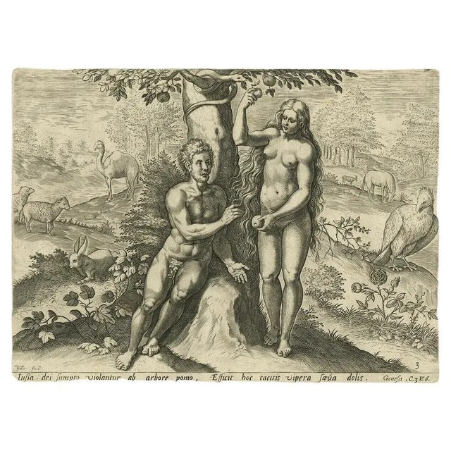 Antique print, titled: 'Lussa dei violantur sumpto ab arbore pomo, Efficit hoc tacitis vipera saeua dolis. - This original...
