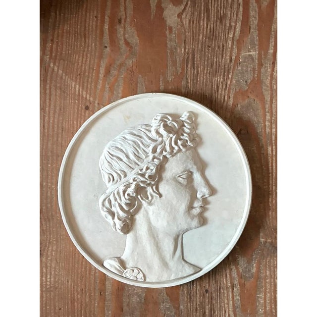 Grand Tour Vintage Classical Bas Relief Portrait of Apollo Medallion For Sale - Image 3 of 12