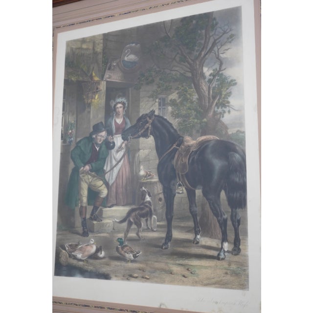 Vintage European Color Engraving of Horse For Sale - Image 10 of 12
