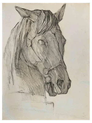 Luigi Galli, Horse's Head, Original Pencil Drawing, Late 19th Century
