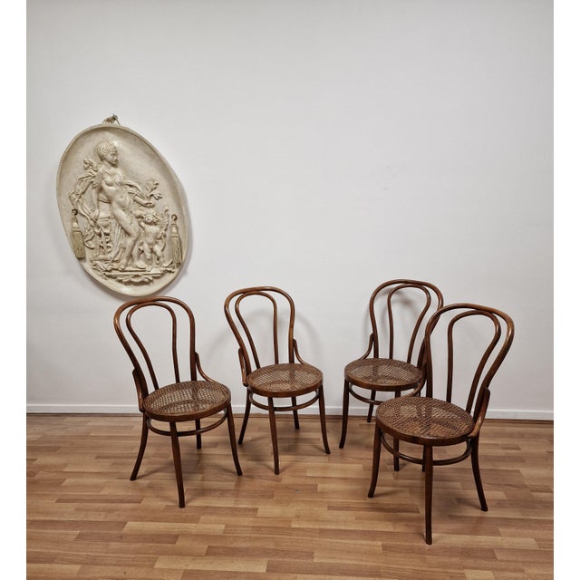 Bent Beechwood Dining Chairs from Salvatore Leone, Late 19th Century, Set of 4 For Sale - Image 11 of 11