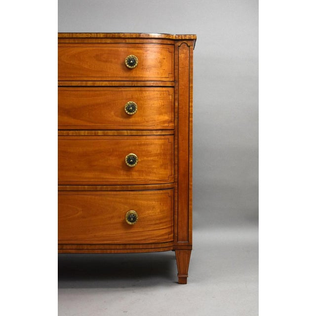 Regency Satinwood Bow Front Chest, 1810 For Sale - Image 11 of 13