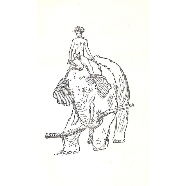 1950s "Just Elephants" 1955 Baze, William For Sale - Image 5 of 9