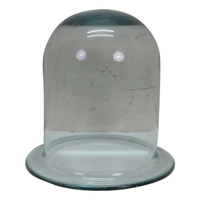 Hand Blown Glass Cloche Apothecary Bell Jar Display Dome Terrarium 10" For Sale