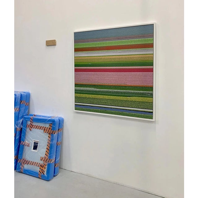 Not Yet Made - Made To Order "AV_Tulip_Fileds_014" Contemporary Limited Edition Fine Art Photograph Print by Bernhard Lang For Sale - Image 5 of 10