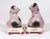 Staffordshire Staffordshire Pottery Cats on Cushions, Pair of Lilac Recumbent Figures Circa 1820–1840 For Sale - Image 4 of 8