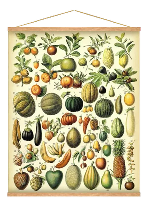 Antique 'Fruit' Wall Hanging