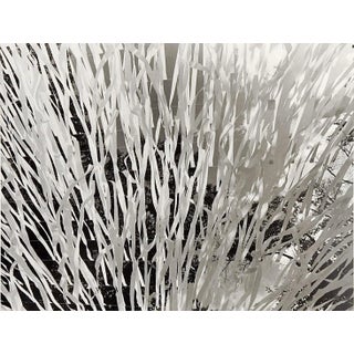 Mid 20th Century Abstract Streamers Photograph For Sale