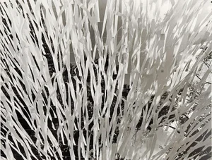 Mid 20th Century Abstract Streamers Photograph