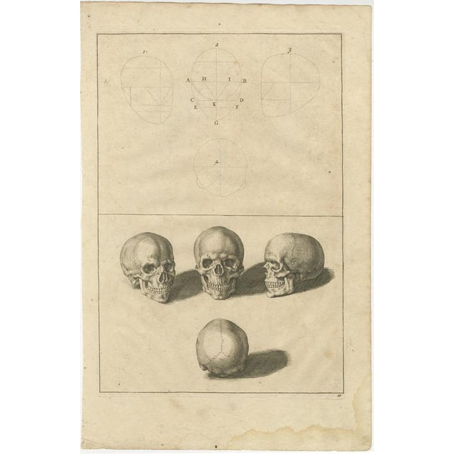 Human Skull Anatomy Plate after de Lairesse German Edition, c1745 This finely engraved anatomical study of the human skull...