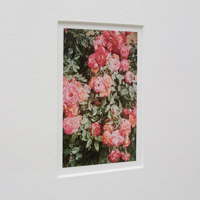 Contemporary The Rose Garden Nº 47 Print by David Urbano, 2018 For Sale - Image 3 of 9