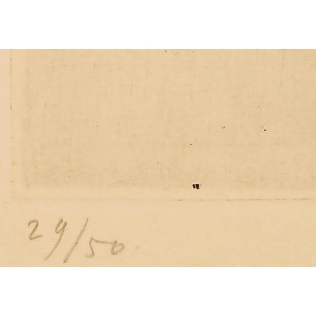 Cornetto Con Fiori Di Campo - 1920s - Giorgio Morandi - Etching - Modern 1924 For Sale - Image 3 of 4