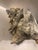 Nautical Large Harbour Island Conch Shell For Sale - Image 3 of 11