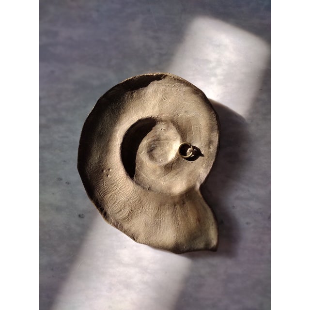 Brass Vintage Brass Nautilus Sea Shell Wall Hanging For Sale - Image 8 of 8