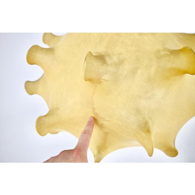 Taraxacum Hanging Lamp by Achille & Pier Giacomo Castiglioni for Flos, 1960s For Sale - Image 10 of 11