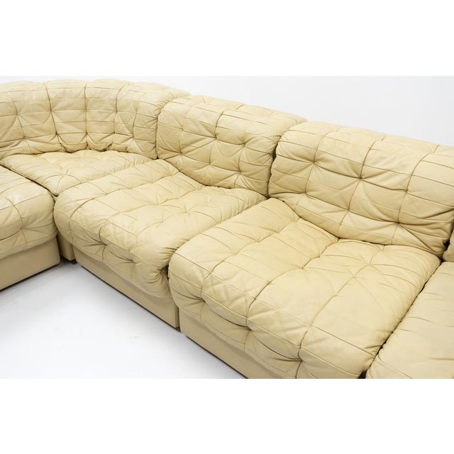 Vintage DS-11 Modular Sofa from de Sede, 1970s, Set of 5 For Sale - Image 14 of 16