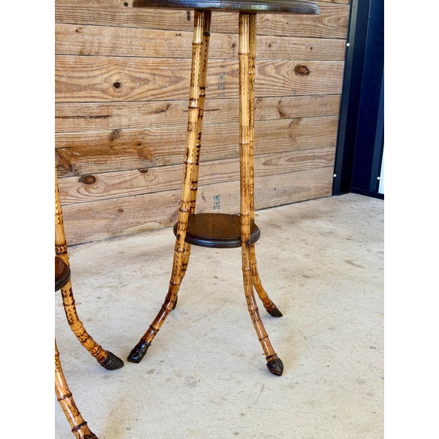 Brown Pair of Victorian Scorched Bamboo Plant Stands With Bamboo Root Feet For Sale - Image 8 of 12