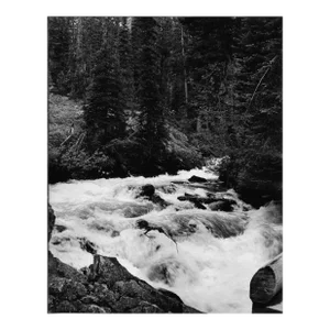 1969 Yellowstone National Park Photograph by Don Ware