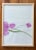 2020s 2025 D2 Abstract Painting of a Pink Hydrangea, Framed For Sale - Image 5 of 6