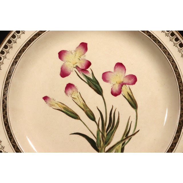 Victorian Wedgwood Creamware Botanical Specimen Plate With Pink Flowers and Brown Printed Border Dated 1862 For Sale - Image 3 of 11